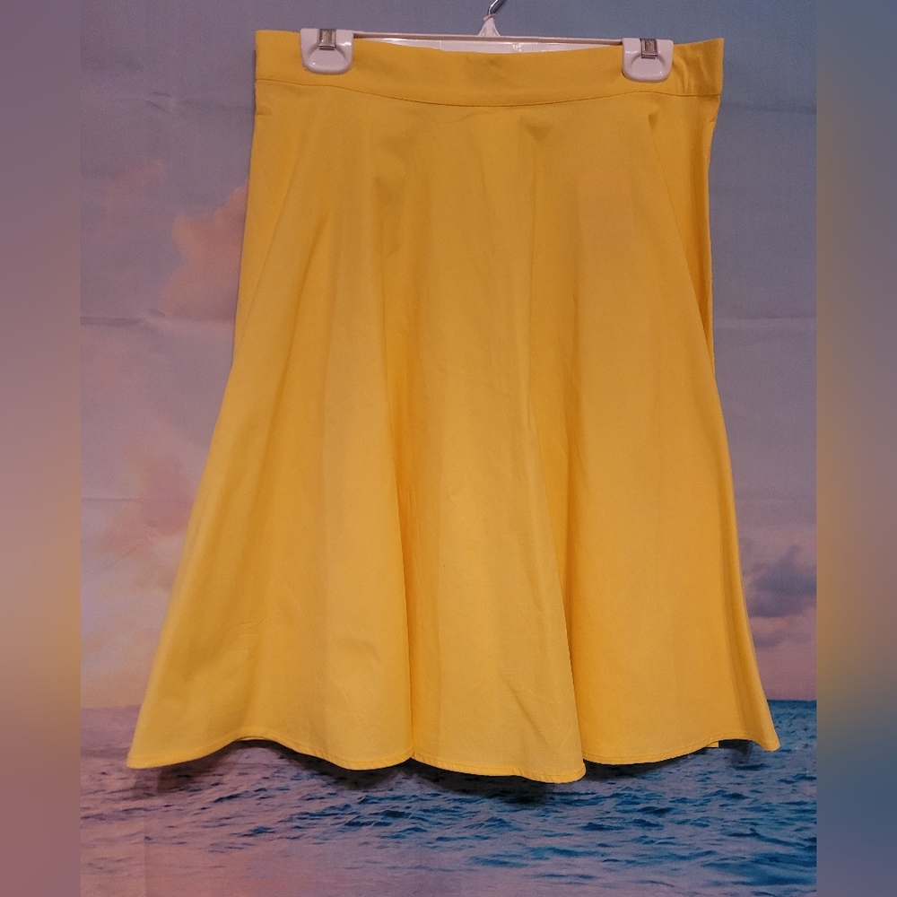 Swing Skirt ~ XL